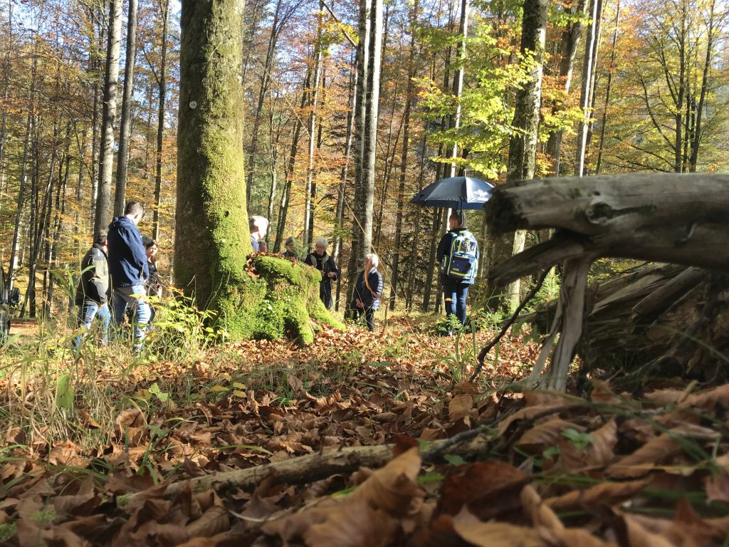 der Waldfriedhof im Sonnenschein mit viel Herbstlaub am Boden